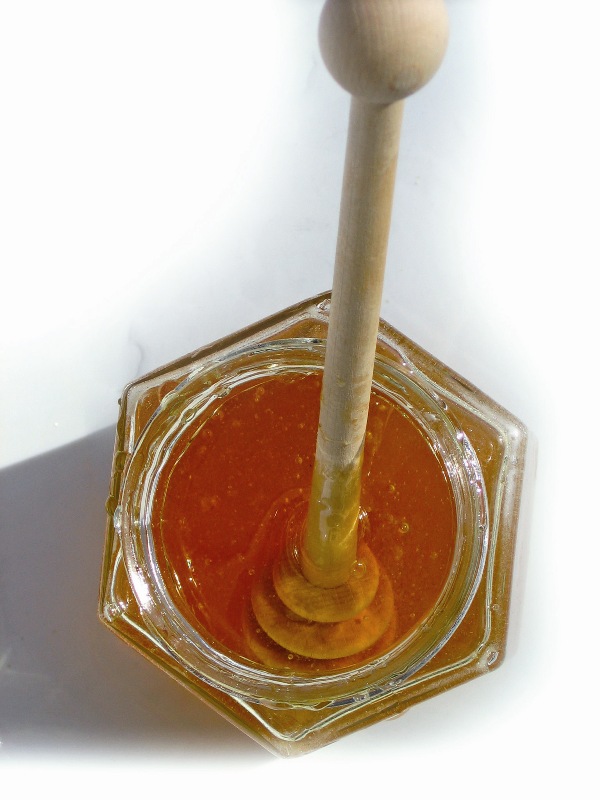 Cele i zadania Międzynarodowej Komisji ds. Miodu 